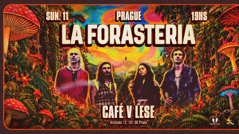 La Forasteria v Café v Lese